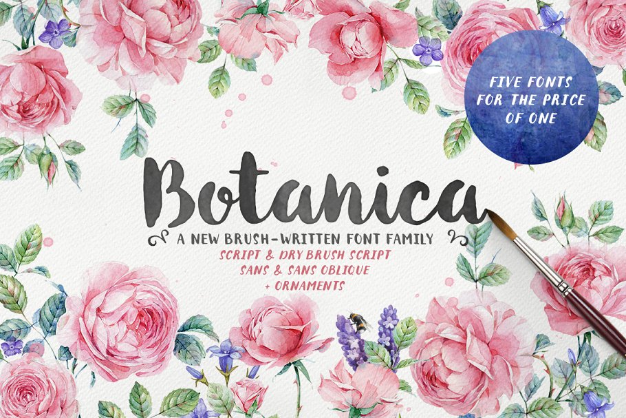 Botanica Brush Family Font Free Download OpFonts
